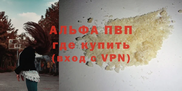 шишки Гусев