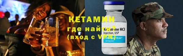 шишки Гусев