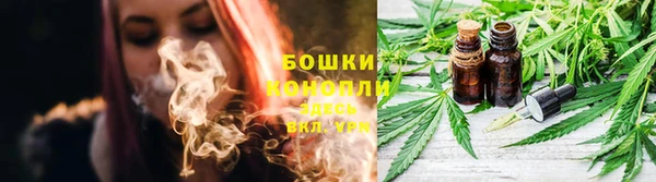 эйфоретик Гусиноозёрск