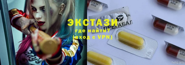 ECSTASY Гусь-Хрустальный