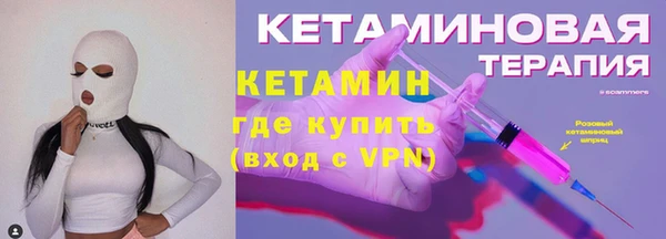 шишки Гусев
