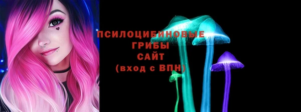 эйфоретик Гусиноозёрск