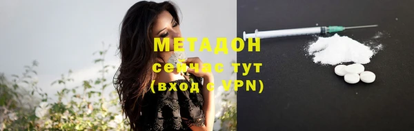 шишки Гусев