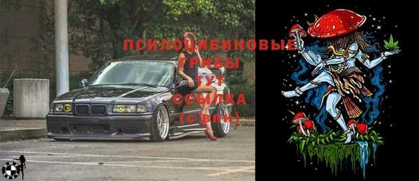 шишки Гусев