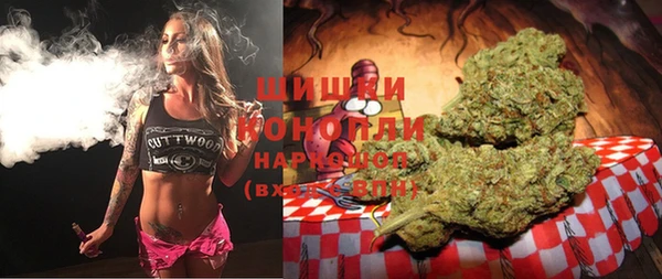 шишки Гусев