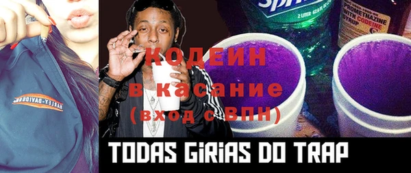 ECSTASY Гусь-Хрустальный