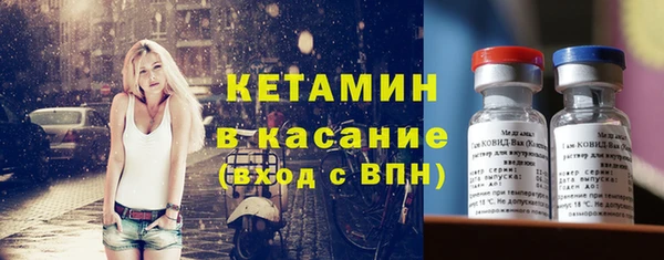 шишки Гусев