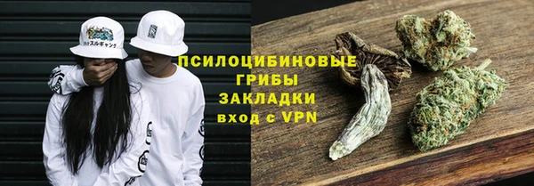 шишки Гусев