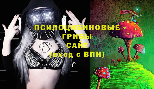 ECSTASY Гусь-Хрустальный