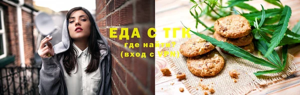 шишки Гусев