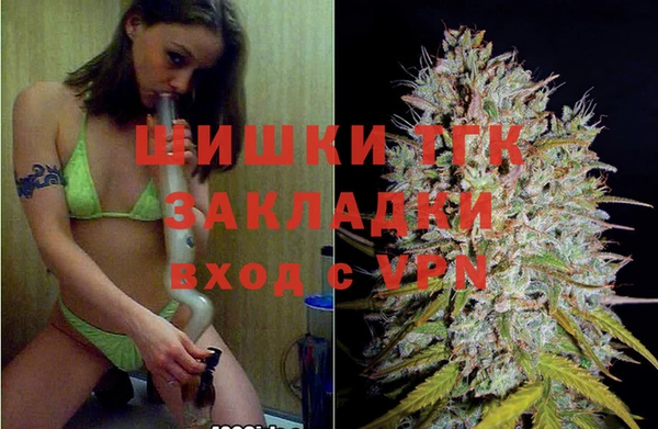 ECSTASY Гусь-Хрустальный