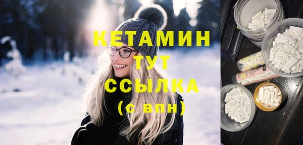 шишки Гусев