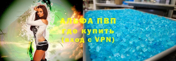 ECSTASY Гусь-Хрустальный