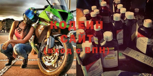 шишки Гусев