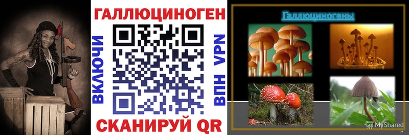 Купить  Липки  Галлюциногенные грибы Magic Shrooms 